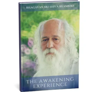 The Awakening Experience